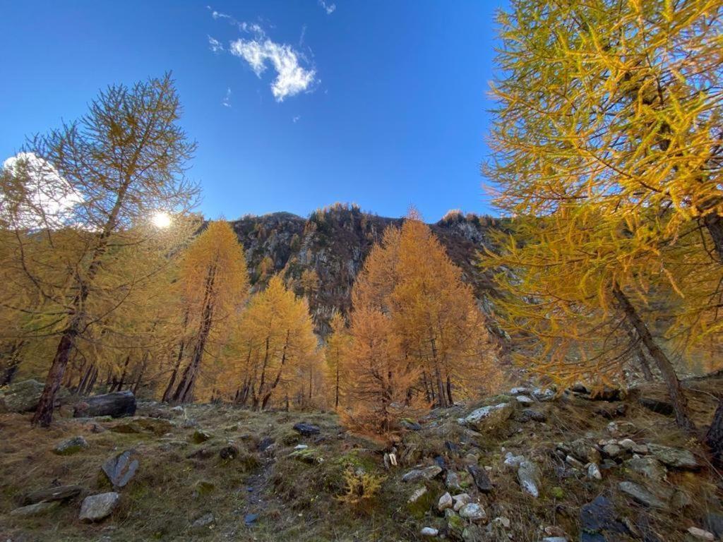 Distel Villa Goms Dış mekan fotoğraf