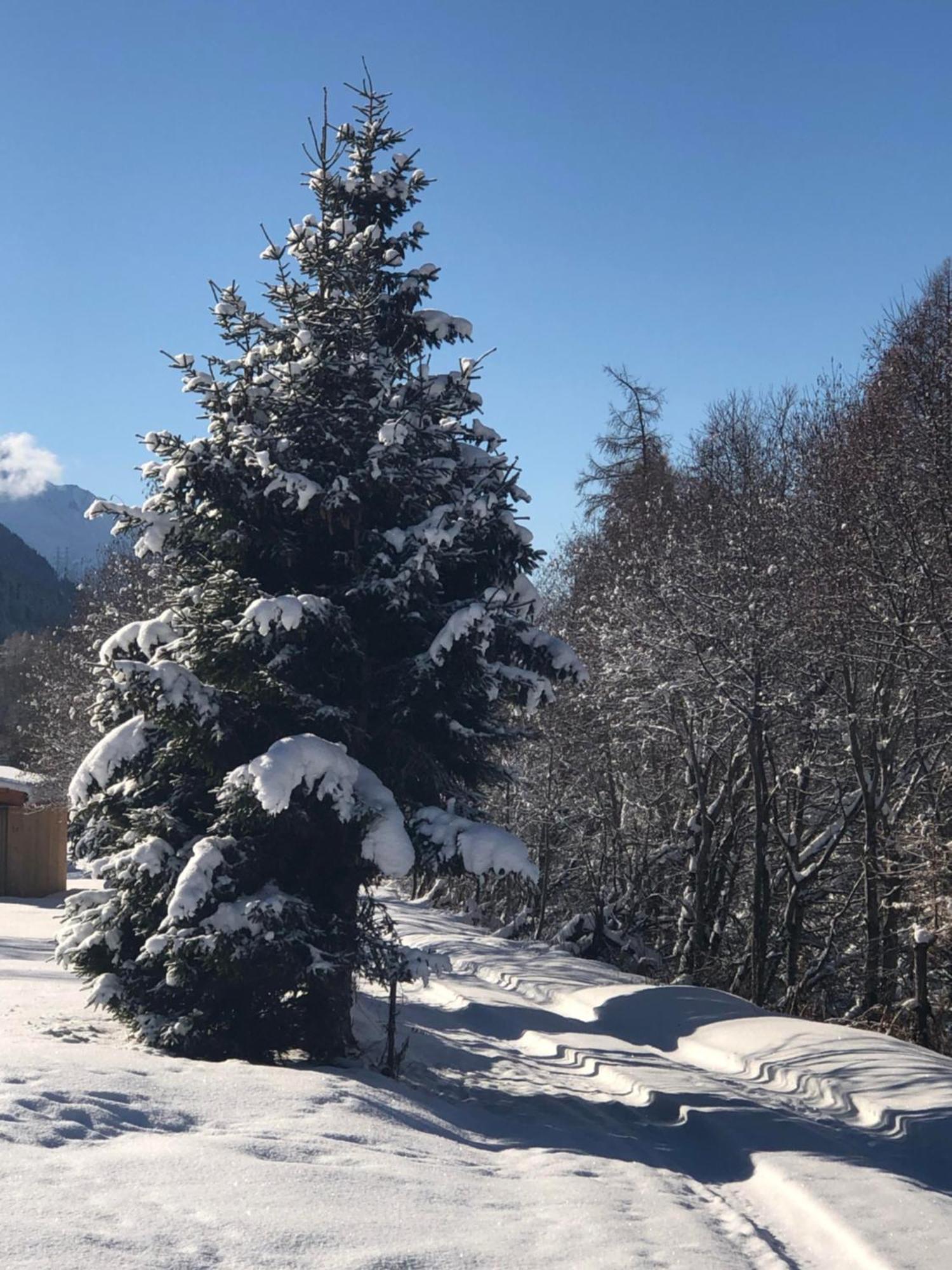 Distel Villa Goms Dış mekan fotoğraf