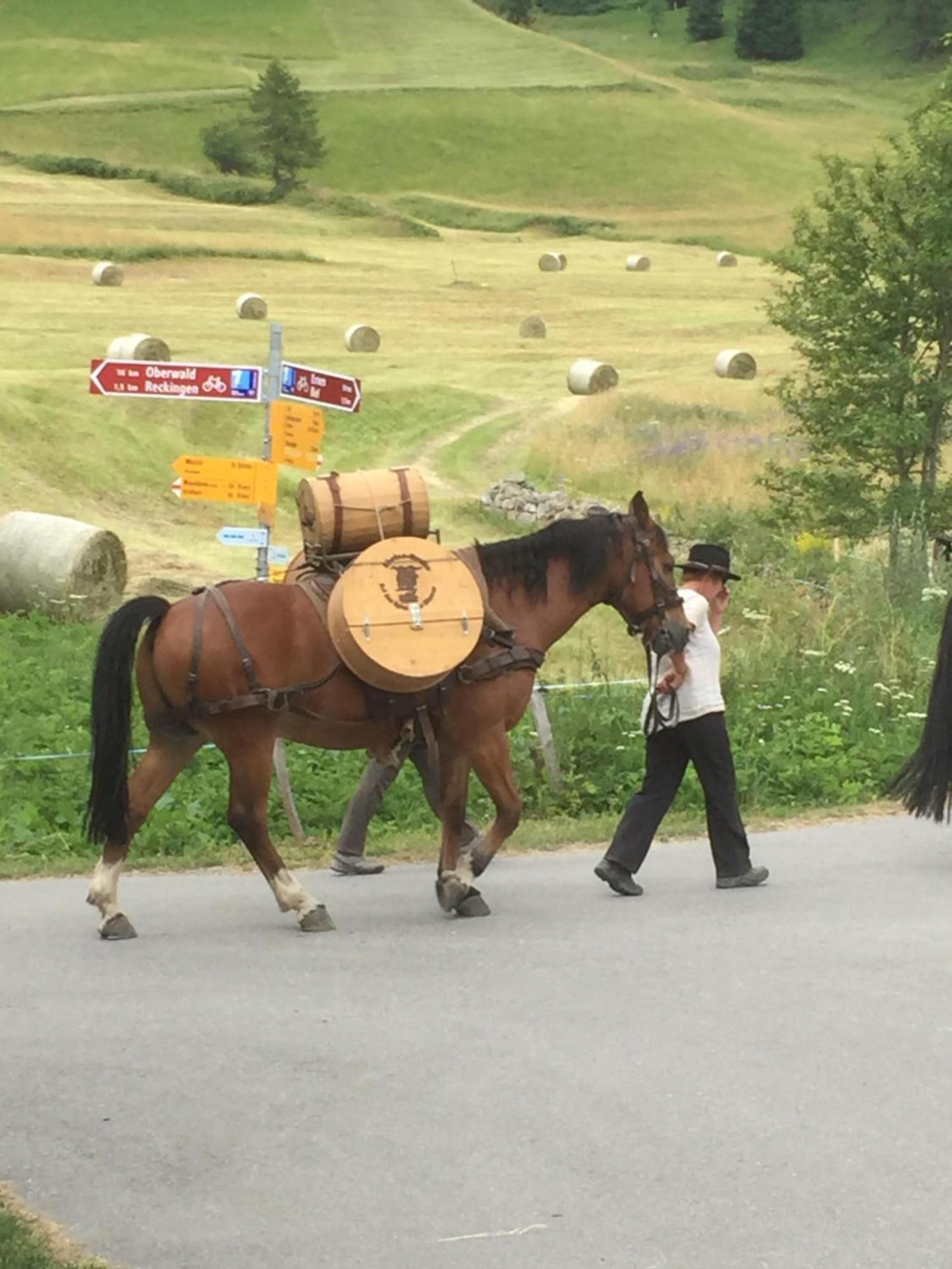 Distel Villa Goms Dış mekan fotoğraf